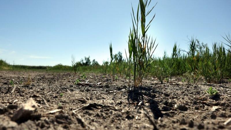 Tierra Cambio climático Calentamiento global Medioambiente China Estados Unidos Temperaturas calor calor extremo ola de calor