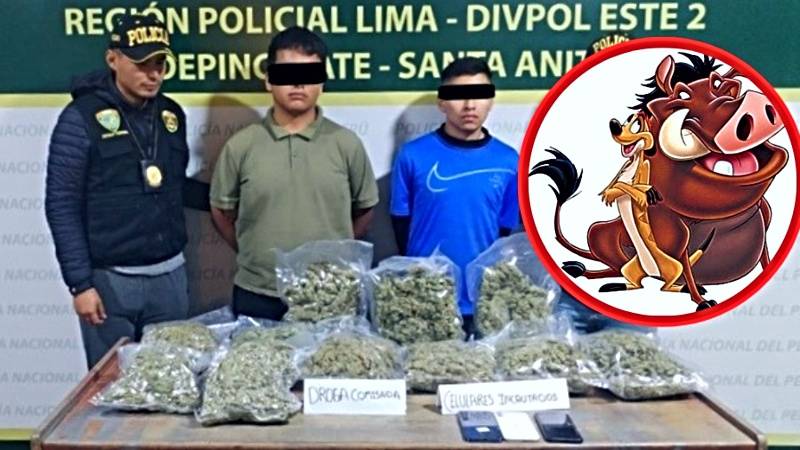 PNP ate vitarte Rey León marihuana cannabis narcotráfico