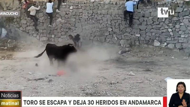 toro ayacucho