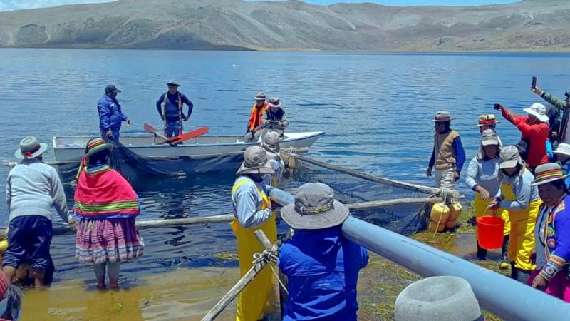 arequipa truchas acuicultura programa pais