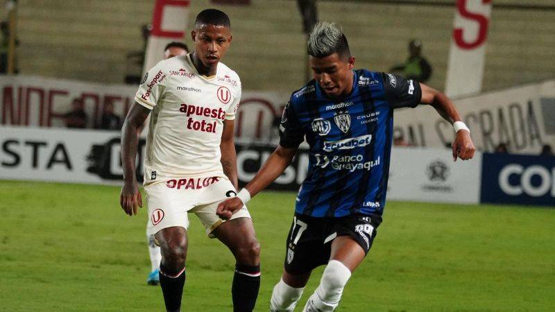 UNIVERSITARIO