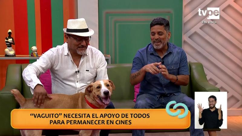 Conoce la conmovedora historia del perrito "Vaguito"