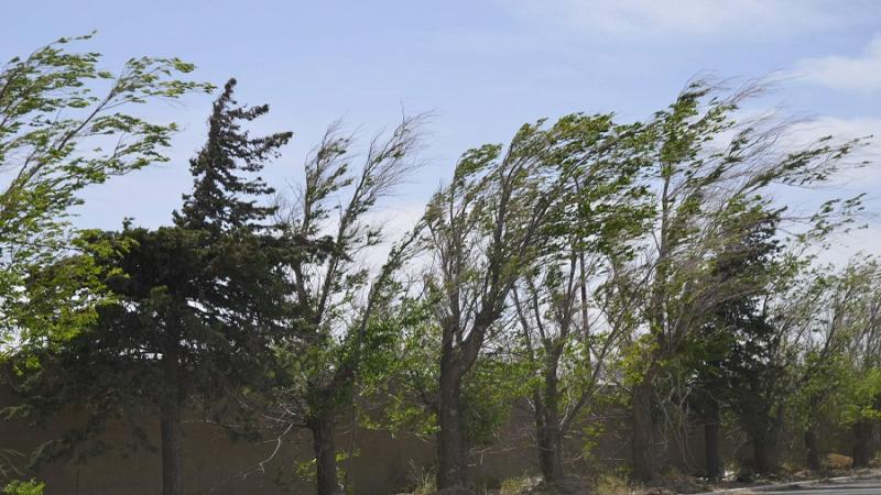 Velocidad del viento en la sierra norte superará los 30 kilómetros por hora | TVPerú