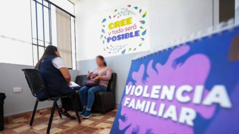 violencia mujer minsa