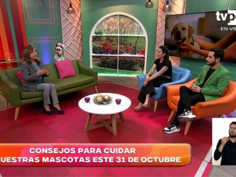 Cuidar a las mascotas el 31 de octubre