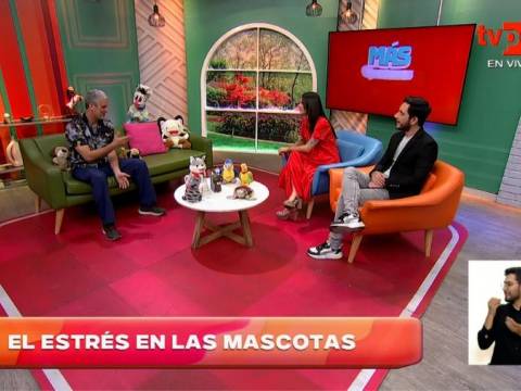 Estrés en mascotas