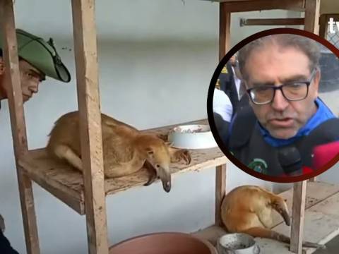 animales loreto pnp 