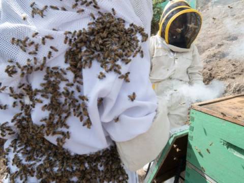 Mujeres apicultoras de Cajamarca