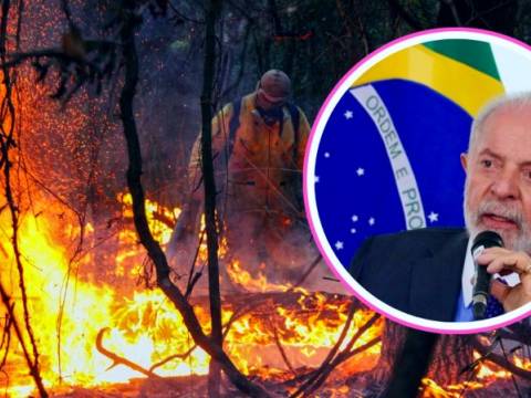 Brasil incendio quema bosques selva árboles lula 