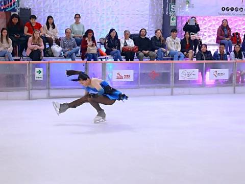 hielo patinaje