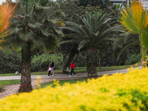 CLIMA EN LIMA PRIMAVERA