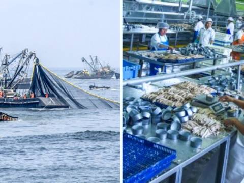 dólar cambio sol economía pesca producción