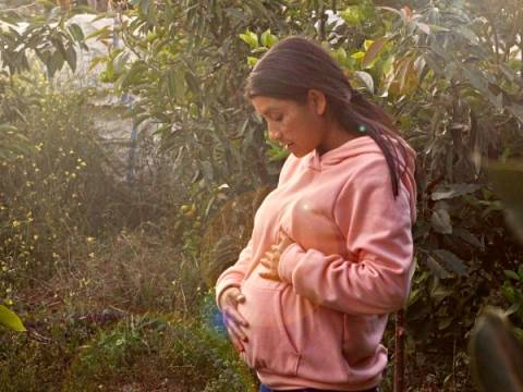 cuna más gestante embarazada 