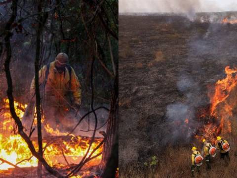 incendio forestal Brasil