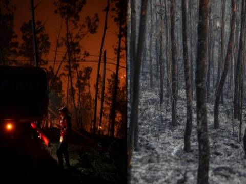 Portugal incendios forestales