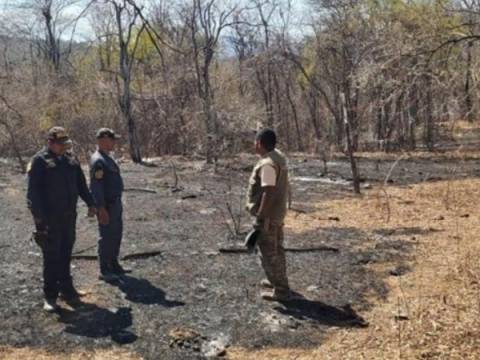 Indeci informa que se extinguieron incendios forestales