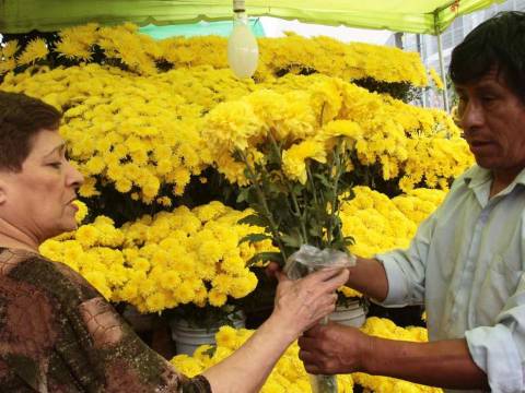 flores amarillas año nuevo