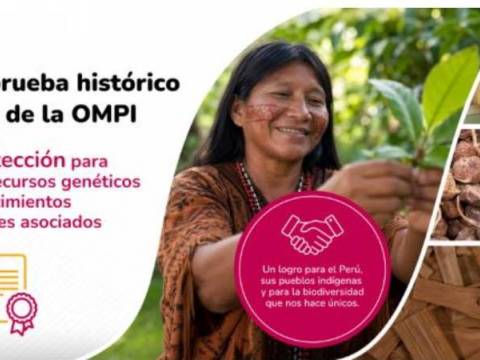  Organización Mundial de la Propiedad Intelectual 