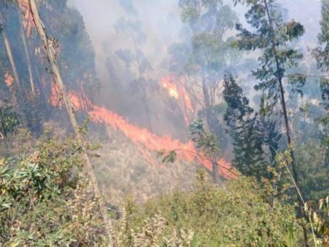 Incendios forestales 