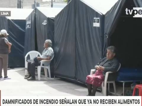 familias en carpas