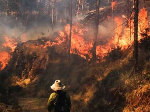 incendios forestales