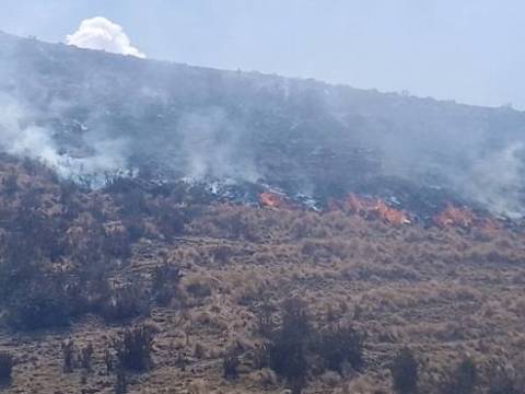 incendios forestales 