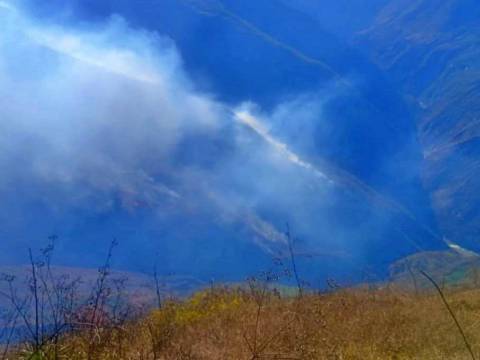 incendios forestales