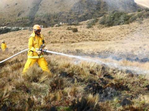 incendios forestales