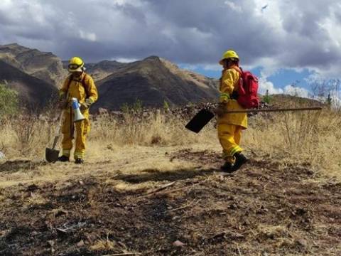 incendios forestales