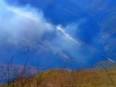 incendios forestales