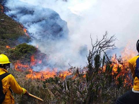 INCENDIOS FORESTALES