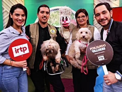 irtp cultura albergue de perros