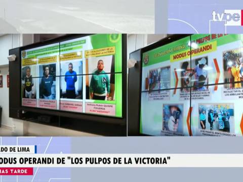 Los Pulpos