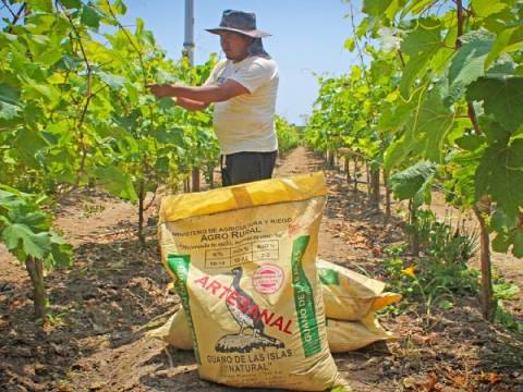 midagri agrorural agicultura guano