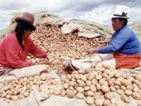 Dia Internacional de la Mujer 