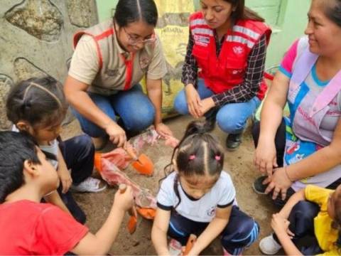 Qali Warma inicia implementación de huertos escolares en 24 instituciones educativas de Lima y Callao