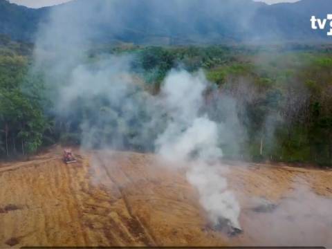 Incendios forestales