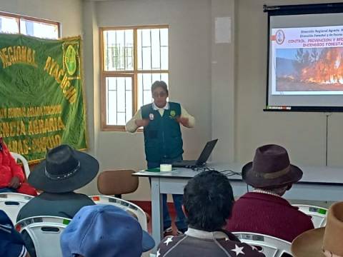 pais ayacucho gobierno regional incendio forestal