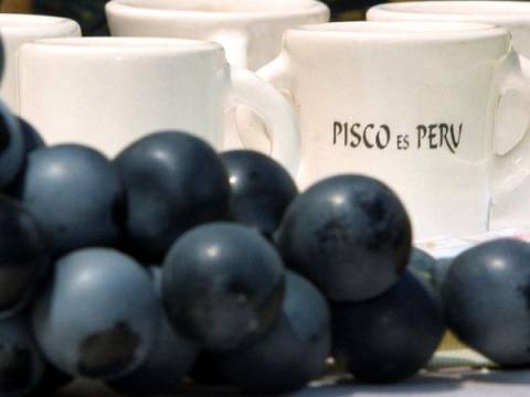 Pisco