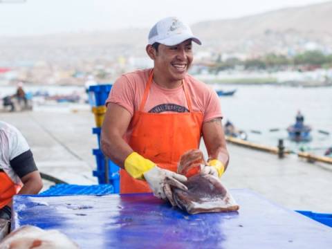 produce pescadores mar pescadores artesanales fondepes