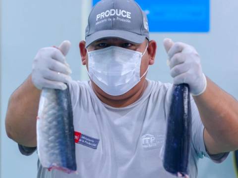 Callao Produce pescado acuicultura pesca