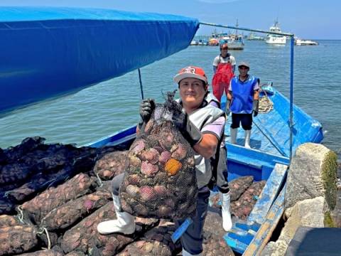 mariscos produce pesca mariscos 