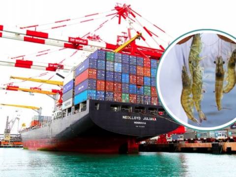 sanipes pesca nacional exportaciones productos pesqueros  sanipes