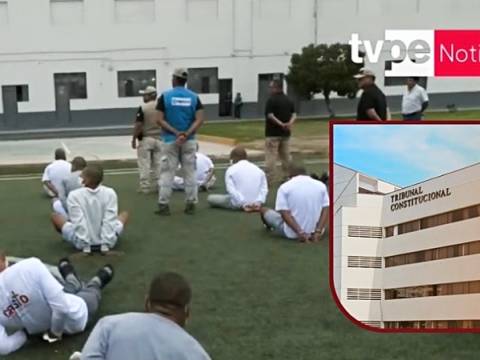 Tribunal Constitucional  jóvenes TC PNP 