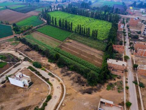 terrenos subasta lima metropolitano