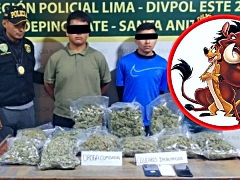 PNP ate vitarte Rey León marihuana cannabis narcotráfico