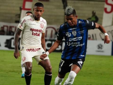 UNIVERSITARIO