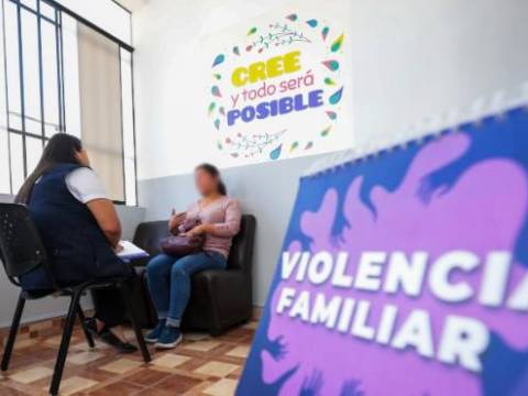 violencia mujer minsa