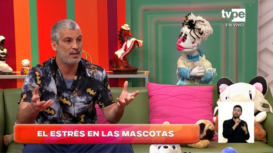 Estrés en mascotas