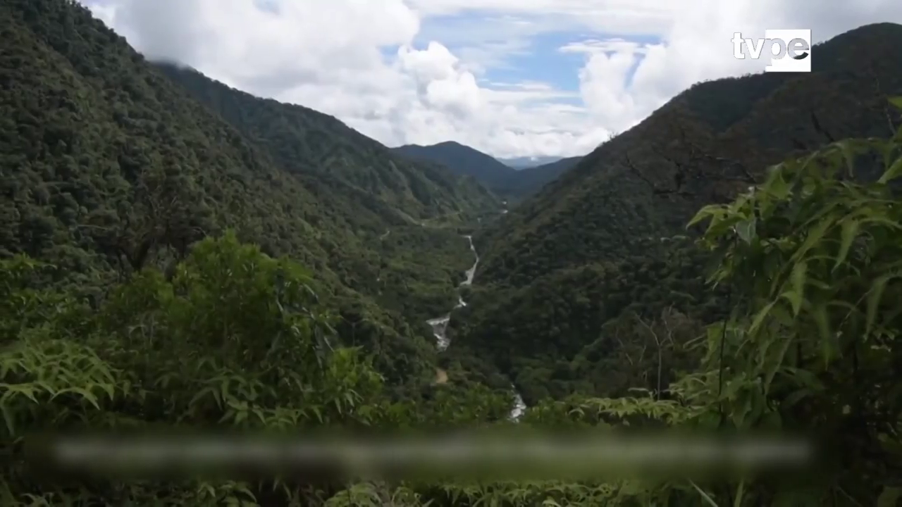 Pueblos indígenas